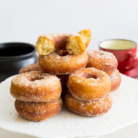 Cinnamon Sugar Pumpkin Donuts