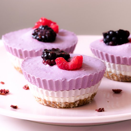 No Bake Tricolor Mini Cheesecakes