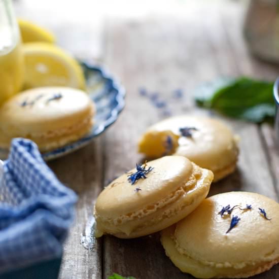 Blue Cornflower Macarons