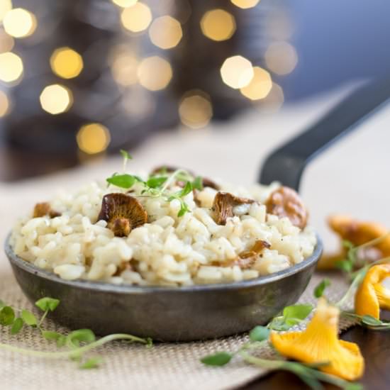 Creamy chanterelle risotto