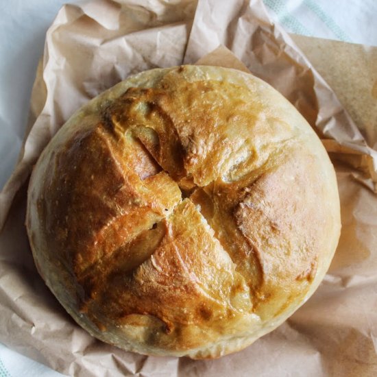 Homemade No Knead Artisan Bread