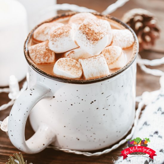 Cinnamon Hot Cocoa Mix