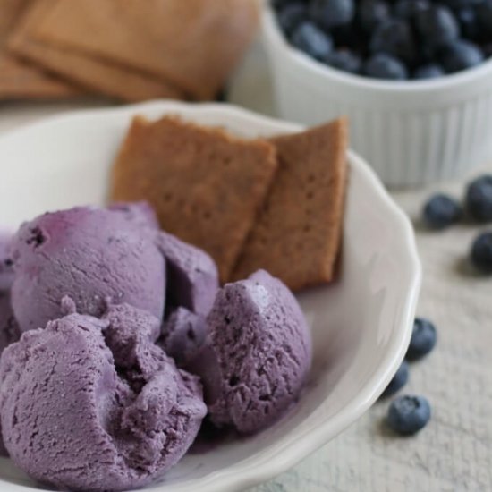 Blueberry Cheesecake Ice Cream