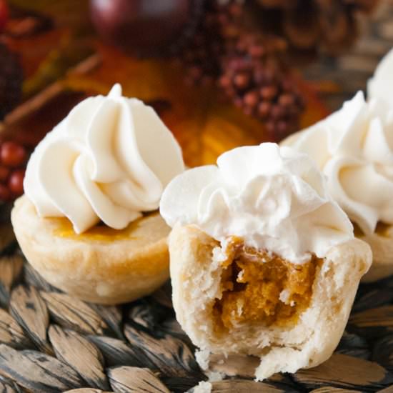 Bite Size Pumpkin Pies