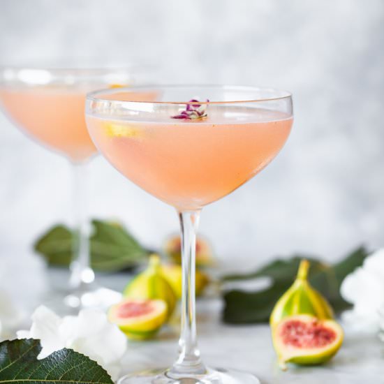 Fig Daiquiri with Fig Leaf Simple