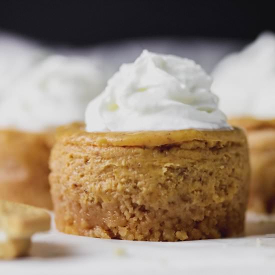 Mini Pumpkin Cheesecakes