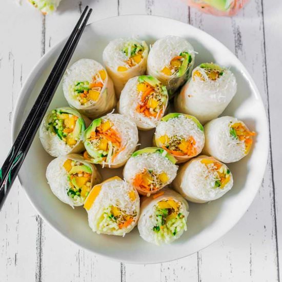 Vegan Rice Paper Summer Rolls