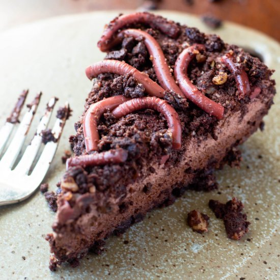 Dark Chocolate Pecan Worms in Dirt