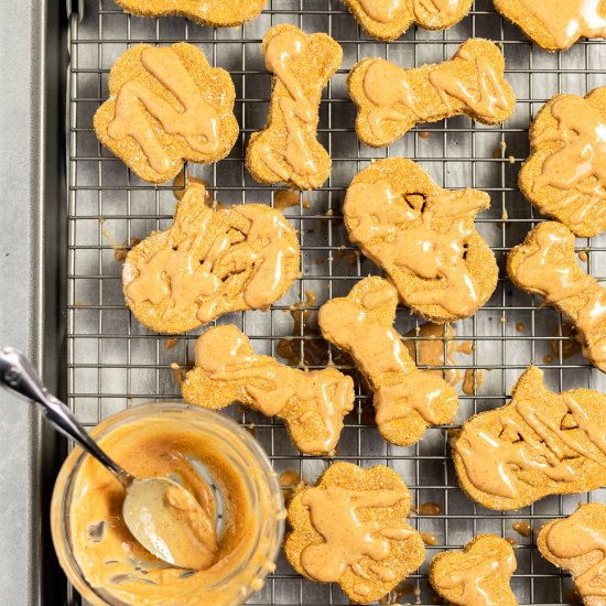 Pumpkin Flavored Dog Treats