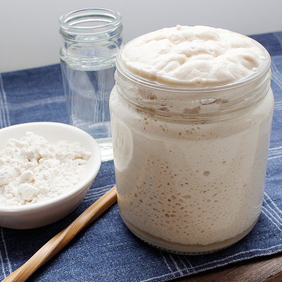 GLUTEN-FREE SOURDOUGH STARTER