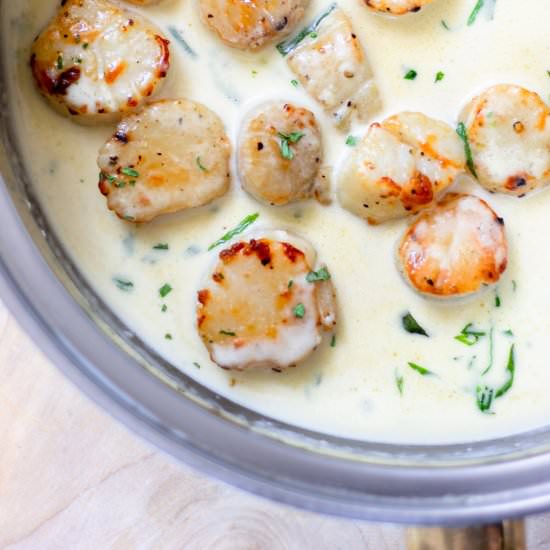 Creamy Garlic Tarragon Scallops