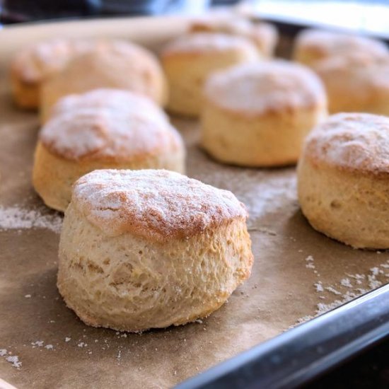 Classic plain scones