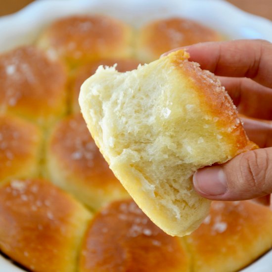 Easy Homemade Dinner Rolls