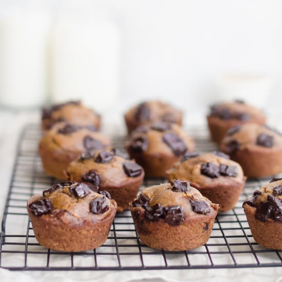 Chocolate Chip Pumpkin Muffins