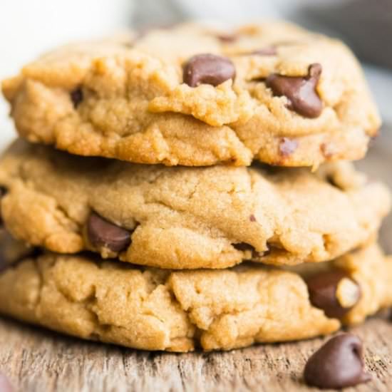 PEANUT BUTTER CHOCOLATE CHIP COOKIE