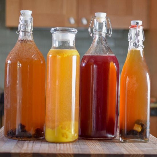 Fruit Flavored Kombucha