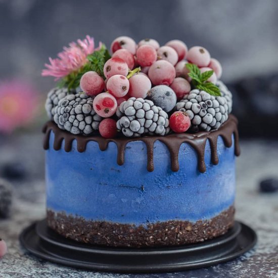 Blue spirulina mini cheesecake