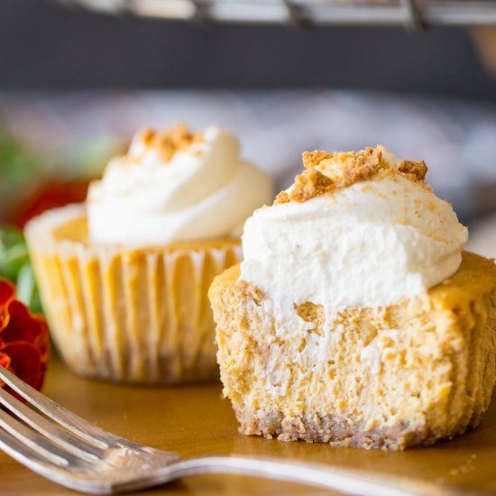 Mini Pumpkin Spice Cheesecakes