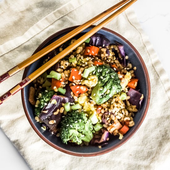 Garlic Salted Black Bean Fried Rice