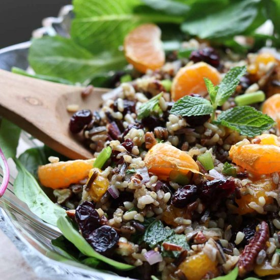 Mandarin Wild Rice Salad