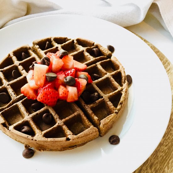 Chocolate Protein Waffles