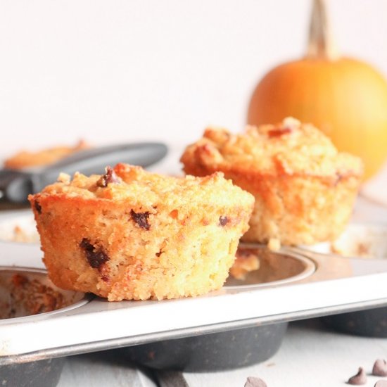 Grain Free Pumpkin Chocolate Chip Muffin