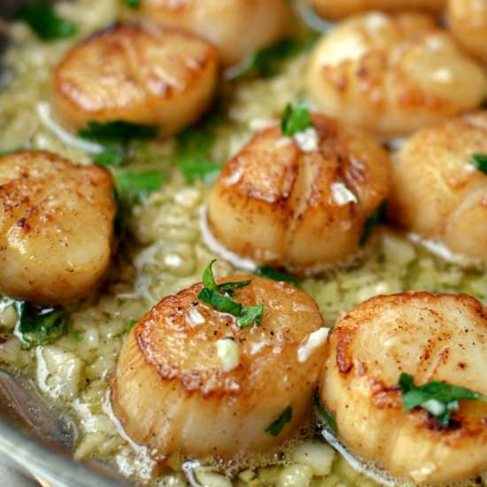 Garlic Lemon Butter Seared Scallops