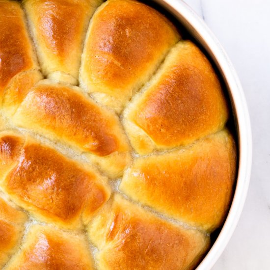 Dinner Rolls