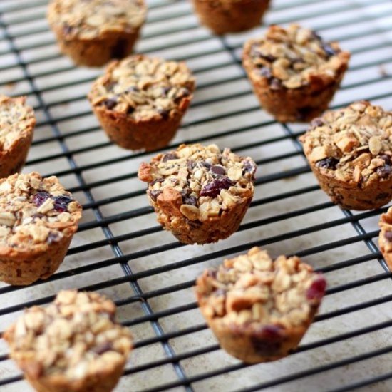 Chewy Granola Bites