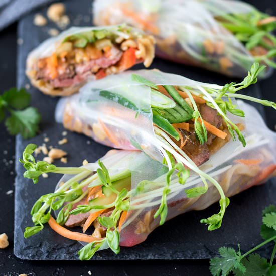 Steak Summer Rolls