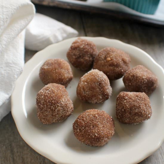 Cinnamon No-Bake Keto Donut Holes