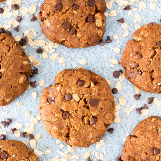 Lactation Cookies