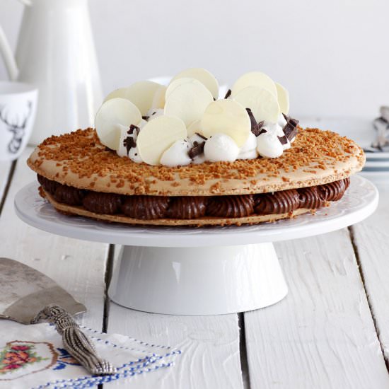 Coconut and Chocolate Macaroon Cake