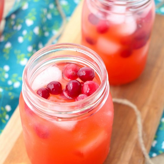 Cranberry Apple Cider Punch