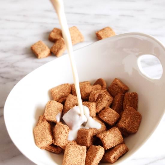 Vegan 3 Ingredient Cinnamon Cereal