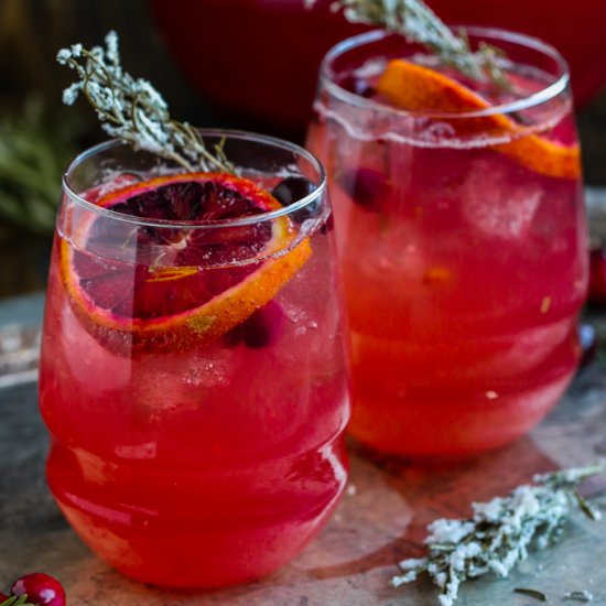 Spiced Cranberry Spritzers