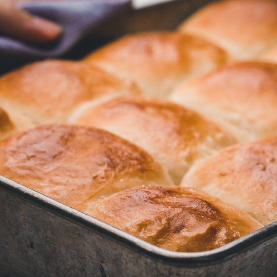 No Knead Dinner Rolls