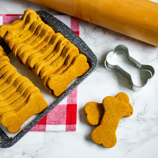 Pumpkin Peanut Butter Dog Treats