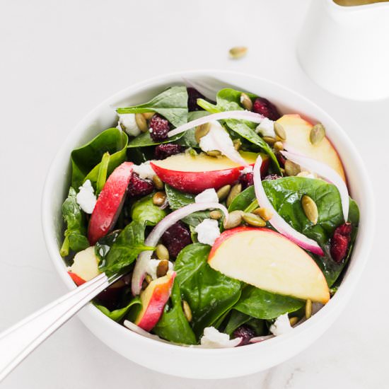 Spinach Apple Cranberry Salad