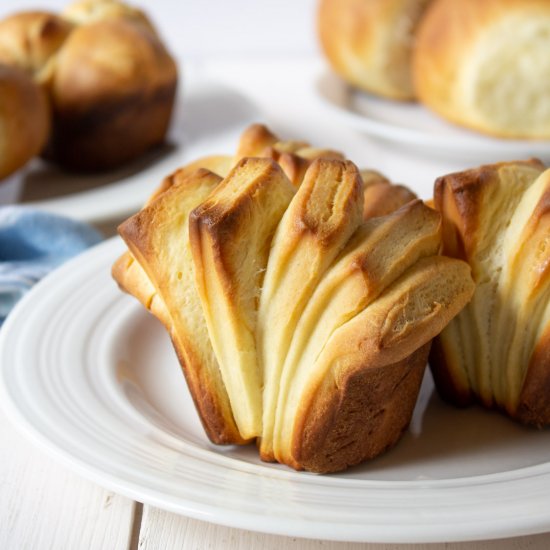 Homemade Dinner Rolls