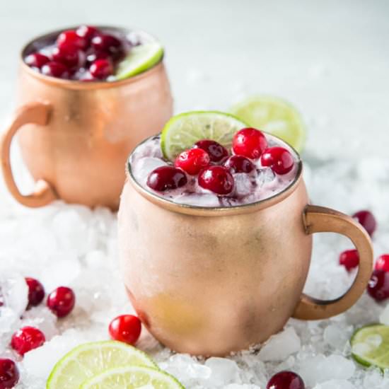 Cranberry Moscow Mule