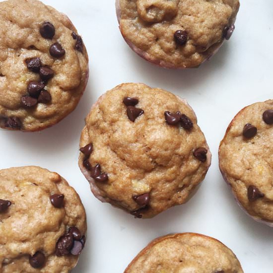 Banana Chocolate Chip Muffins