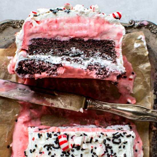 Peppermint Ice Cream Chocolate Cake