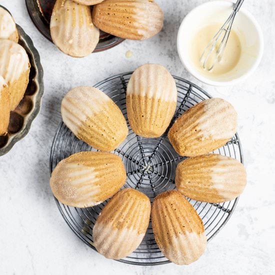 Gingerbread Madeleines