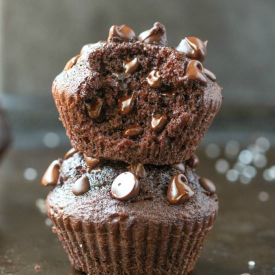 Flourless Nut Free Chocolate Muffin