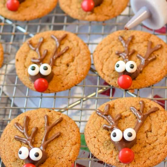 Easy Gingerbread Reindeer Cookies