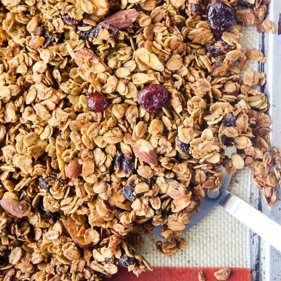 Cranberry Orange Granola