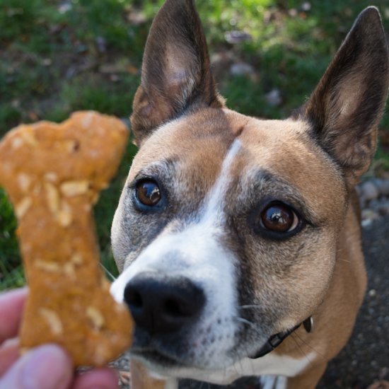 Sweet Potato and Apple Dog Treats