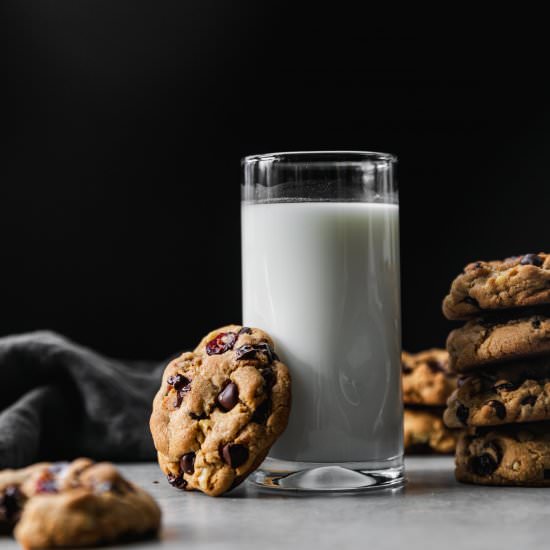 Dark Chocolate Cranberry Cookies