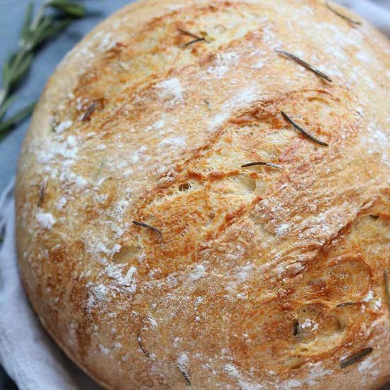 Rosemary Olive oil No Knead